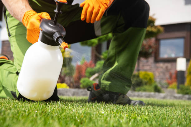 Best Outdoor Pest Control  in Wales, WI